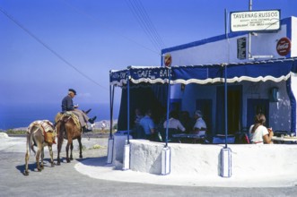 Man riding donkey past tourists eating lunch, Taverna Russos, Fira, Santorini, Santorini, Cyclades
