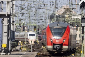 Central station with track apron, rails and overhead lines. ICE and regional train of Deutsche Bahn
