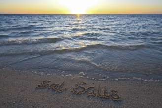 Sal Salis lettering in the sand, Cape Range National Park, Ningaloo Reef, near Exmouth, Western