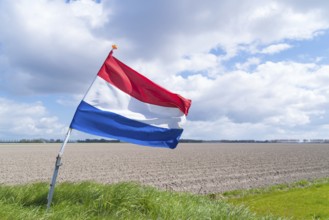 Waving dutch flag in a typical flat agricultural landscape