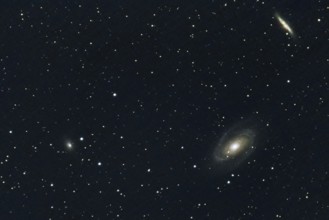 Two spiral galaxies (M 81 and M 82) and other galaxies, embedded in a star-studded deep space,