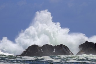 Sea coast, Chile, water, spray, splashes, South America
