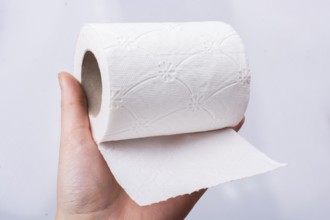 A female hand takes a roll of white toilet paper in hand