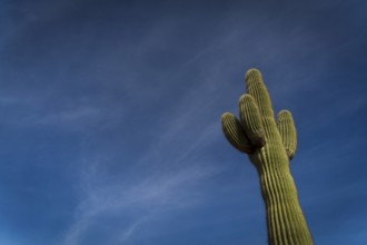 View of the mountains at Papago Park In Phoenix, Arizona