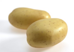 Mona Lisa Potato (Solanum tuberosum), Vegetables against White Background