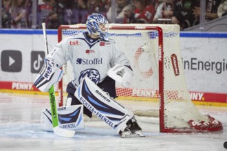 LanxessArena, Cologne, North Rhine-Westphalia, Florian Bugl (Straubing Tigers, #1), PENNY DEL,