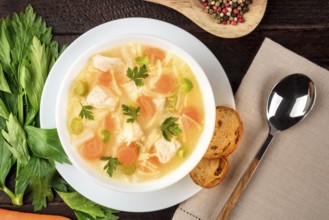 Chicken noodle soup, shot from the top on a dark rustic wooden background with a place for text