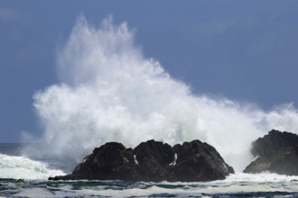 Sea coast, Chile, water, spray, splashes, South America