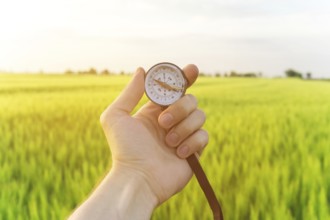 Finding a direction in nature on a wheat field. A man's hand holds a compass