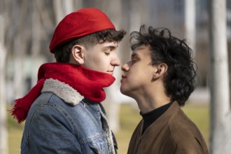 Young gay couple about to kiss in a park