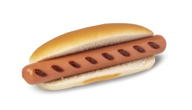 Hot dog isolated on white background