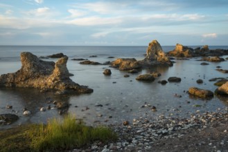 The famous limestone cliffs (Raukar) of Folhammer near Ljugarn on the island of Gotland in the