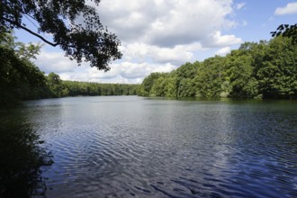 Krumme Lanke, Lake, Steglitz-Zehlendorf, Grunewald, Berlin, Germany, Europe