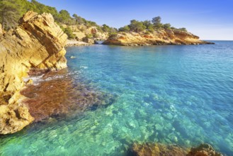 Ametlla L'ametlla de mar beach illot in Costa dorada of Tarragona in Catalonia