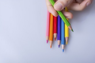 Hand holding color Pencils placed on a white background