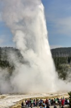 Tourists looking at the Old Faithful Geyser. Yellowstone National Park. Wyoming. USA