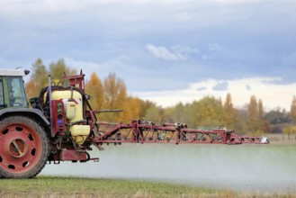 Spraying winter cereals