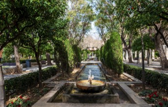 S'Hort del Rei Park, Royal Garden, Palma de Majorca, Majorca, Balearic Islands, Spain, Europe