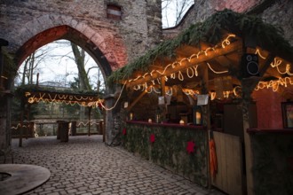 Thurn und Taxis Christmas Market, Advent Market, Regensburg, Bavaria, Germany, Europe