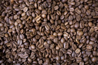 Coffee beans texture or coffee beans background