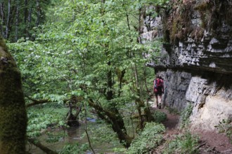 Hiker, hiking trail, Gauchachschlucht, Schluchtensteig, Gauchach, southern Baar, Baden-Württemberg,
