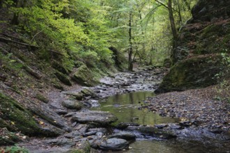 Hiking trail, Ehrbach valley, Hunsrück, near Brodenbach, Rhineland-Palatinate, Germany, Europe