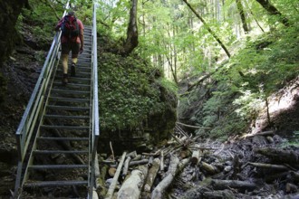 Hiker, steep stairs, narrow gorge, hiking trail, Tränkebach, Schluchtensteig, near Bachheim,