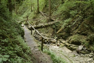 Bridge, narrow gorge, hiking trail, Tränkebach, Schluchtensteig, near Bachheim, southern Baar,