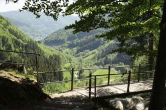 View from the Todtnau waterfall to the valley of the Stübenbach, high valley of Todtnauberg,