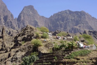 Farm and farm terrace on the hiking trail from Cha Alto Mira village to Cha de Morte, rocky