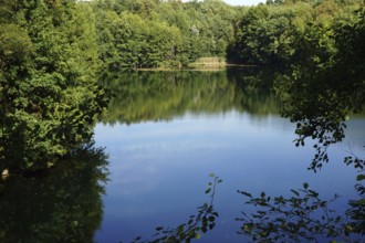 Local recreation area Dietesheim quarries, former basalt quarries, lake landscape, Dietesheim,