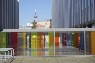Juridicum, designed by Ferdinand Kramer, multi-purpose building and law seminar, view of lab hall