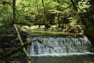 Waterfall, weir, hiking trail, Gauchachschlucht, Schluchtensteig, Gauchach, southern Baar,