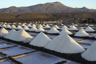 Salinas de Janubio, salt flats, Lanzarote, Canary Islands, Spain, Europe