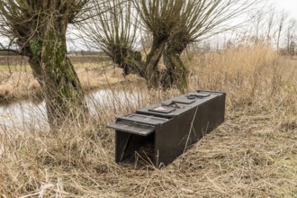 NSG Südliche Leineaue, Laatzen, live trap for catching nutrias (Myocastor coypus) on the bank of