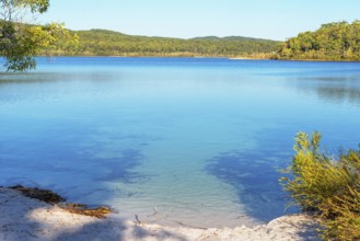 McKenzie Lake, Fraser Island, Queensland, Australia, Oceania