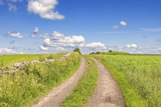 Dirt road by a field and a stone wall in a rural landscape with a blue sky a white clouds a sunny