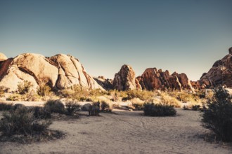 Joshua Tree National Park