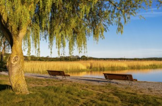 Landscape at the harbour of Sellin, Rügen, Mecklenburg-Vorpommern, Germany, Europe