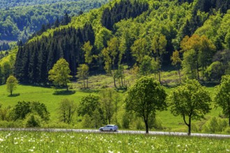 Country road in the Orketal, near Elkeringhausen, a district of Winterberg in the