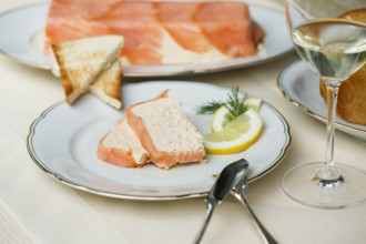 Southern German cuisine, salmon trout terrine arranged on a plate, salmon terrine with trout