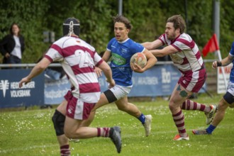 Rugby 1st Bundesliga South/West, Season 2024/25, Matchday 14: SC Neuenheim vs RSV Köln