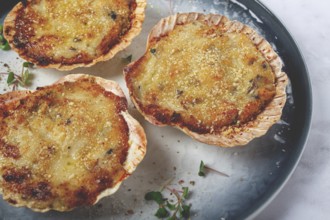 Scallop shells, stuffed, baked with cheese, in the oven, julienne with scallops