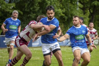 Rugby 1st Bundesliga South/West, Season 2024/25, Matchday 14: SC Neuenheim vs RSV Köln