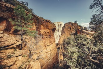 Zion National Park