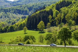 Country road in the Orketal, near Elkeringhausen, a district of Winterberg in the