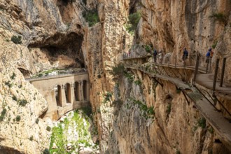 View of a viaduct and hikers on the Caminito del Rey path, embedded in a rocky gorge, Malaga,