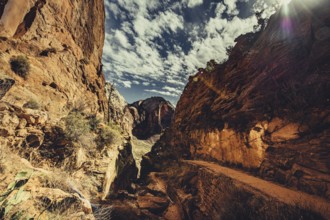 Zion National Park