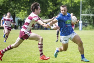 Rugby 1st Bundesliga South/West, Season 2024/25, Matchday 14: SC Neuenheim vs RSV Köln***Neuenheim