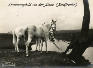 Mood picture of the Aisne, Northern France, 1914 - 1918, 1st World War, reproduction of a war